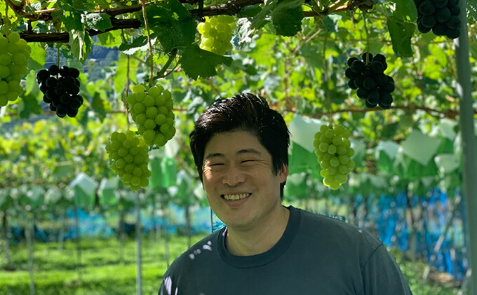 【ふるさと納税】【2022年秋発送先行予約】クイーンニーナ2房セット【果物・ぶどう・フルーツ・ブドウ・クイーンニーナ】お届け:2022年9月中旬〜10月中旬頃