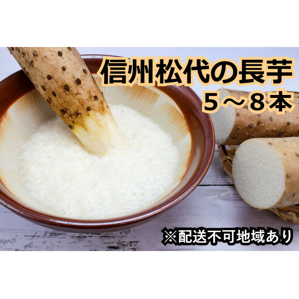 楽天市場】【ふるさと納税】先行予約 長野市松代産 TAKANO農園 楽天市場】【ふるさと納税】先行予約 長野市松代産 TAKANO農園