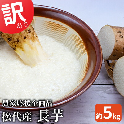 【ふるさと納税】訳あり 松代産長芋 約5kg　応援企画品 野菜 根菜 傷 変形 こぶ 5キロ 　お届け：2024年11月20日～2025年9月下旬