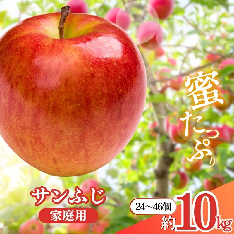 【ふるさと納税】先行予約 長野市産サンふじ家庭用 約10kg 2025年12月～2026年3月発送　※オンライン決済限定 果物 フルーツ デザート 食後 おやつ 長野県産 信州 りんご 代表品種 濃厚 　お届け：2025年12月上旬～2026年3月中旬