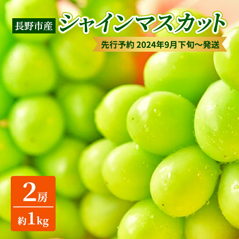 【ふるさと納税】ぶどう 先行予約 長野市産 シャインマスカット 2房 約1kg 朝採り 葡萄 ブドウ フルーツ 果物 シャイン マスカット デザート おやつ 信州 2025年秋発 　お届け：2025年9月中旬～10月上旬