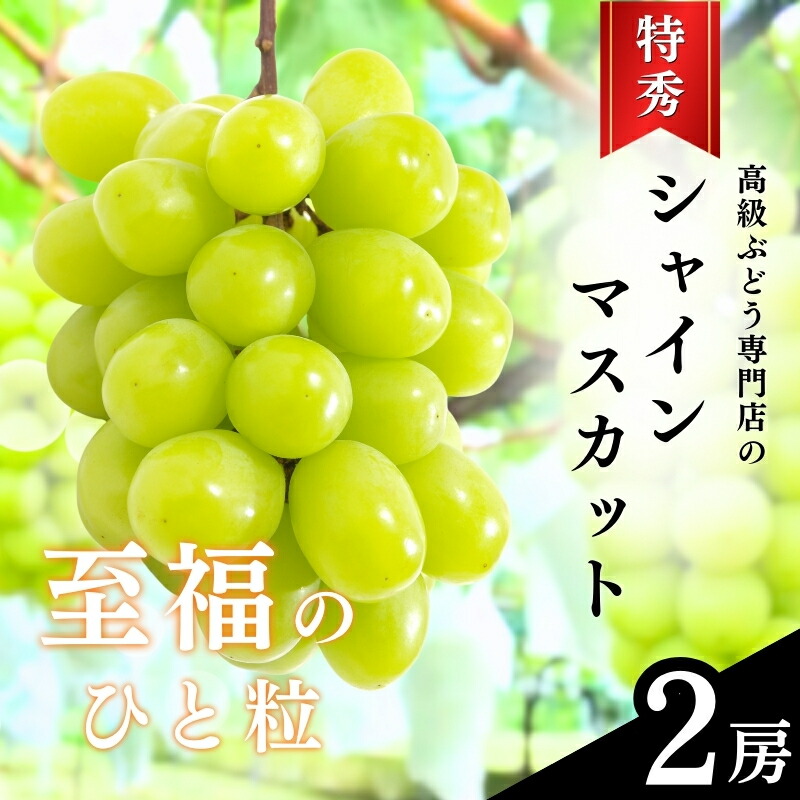 【ふるさと納税】ぶどう 先行予約 長野市産 シャインマスカット 特秀 2房 葡萄 ブドウ フルーツ 果物 シャイン マスカット デザート おやつ 信州 2025年秋発 　お届け：2025年9月中旬～10月下旬