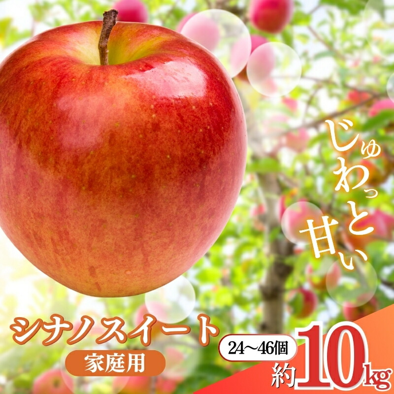 【ふるさと納税】先行予約 長野市産シナノスイート家庭用 約10kg 2025年10月下旬より順次発送 ※オンライン決済限定 果物 フルーツ デザート 食後 おやつ 長野県産 信州 甘い 交配品種 酸味が少ない りんご 　お届け：2025年10月下旬～11月上旬