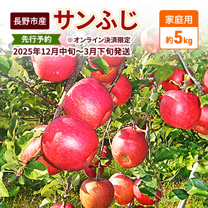 【ふるさと納税】先行予約 長野市産サンふじ家庭用 約5kg 2025年12月～2026年3月発送 ※オンライン決済限定 果物 フルーツ デザート 食後 おやつ 長野県産 信州 りんご 代表品種 濃厚 　お届け：2025年12月上旬～2026年3月中旬