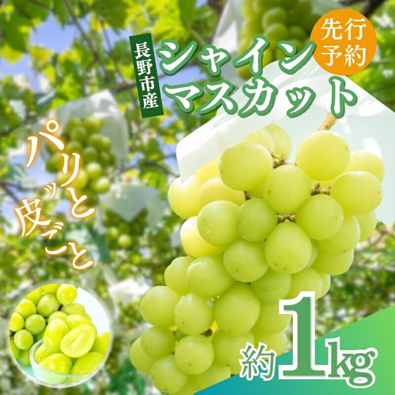 【ふるさと納税】ぶどう 先行予約 長野市産 シャインマスカット 約1kg 2025年9月下旬より順次発送 葡萄 ブドウ フルーツ 果物 シャイン マスカット デザート おやつ 信州 オンライン決済限定　お届け：2025年9月下旬～10月下旬