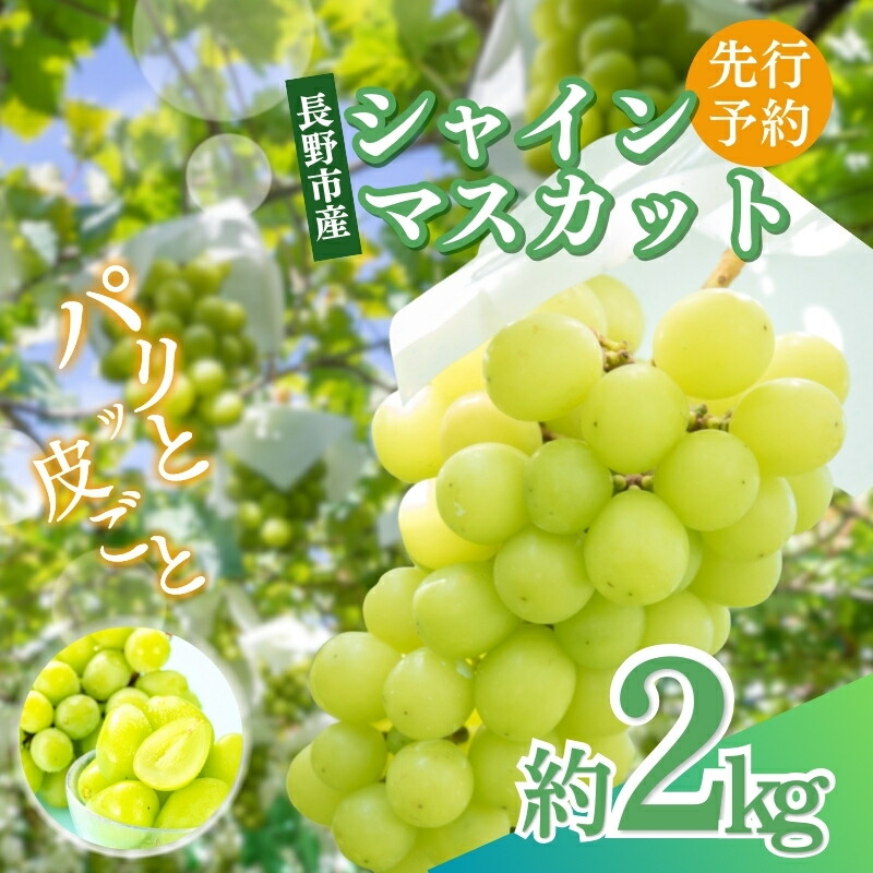 【ふるさと納税】ぶどう 先行予約 長野市産 シャインマスカット 約2kg 2025年9月下旬より順次発送 葡萄 ブドウ フルーツ 果物 シャイン マスカット デザート おやつ 信州 オンライン決済限定 　お届け：2025年9月下旬～10月下旬