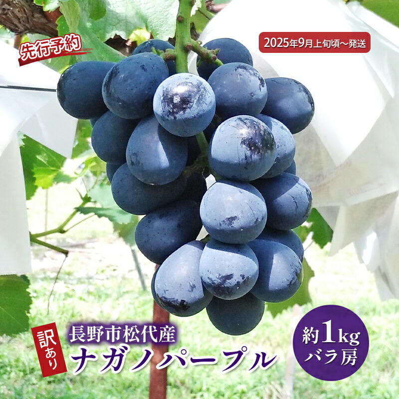 楽天市場】【ふるさと納税】ぶどう 先行予約 長野市産 ナガノ 楽天市場】【ふるさと納税】ぶどう 先行予約 長野市産 ナガノ
