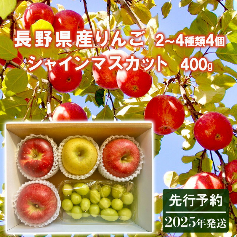 楽天市場】【ふるさと納税】2024年先行予約 サンふじりんご６玉 長野県