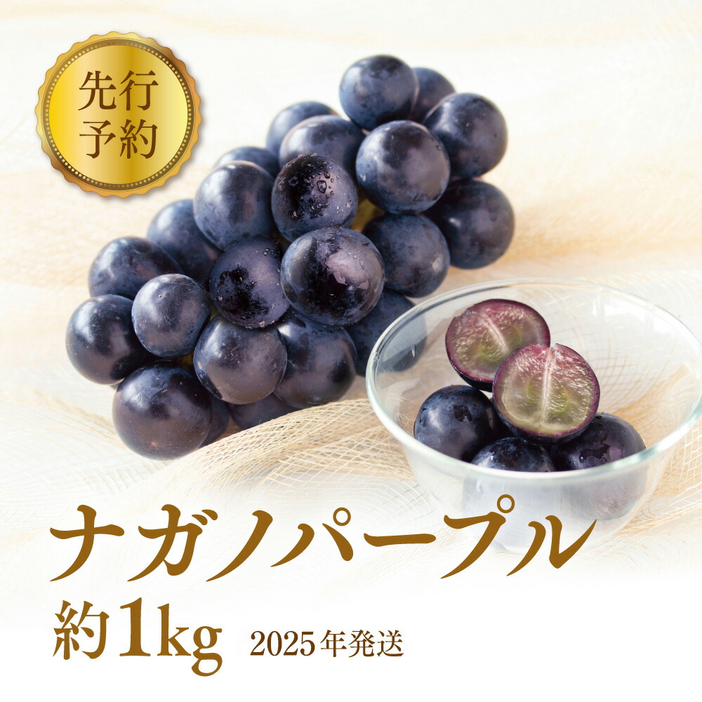 【ふるさと納税】ぶどう 先行予約 長野市産 ナガノパープル 約1kg 果物 ブドウ 葡萄 フルーツ デザート おやつ 種なし 信州 オンライン決済限定 2025年秋発送 　お届け：2025年9月上旬～10月中旬