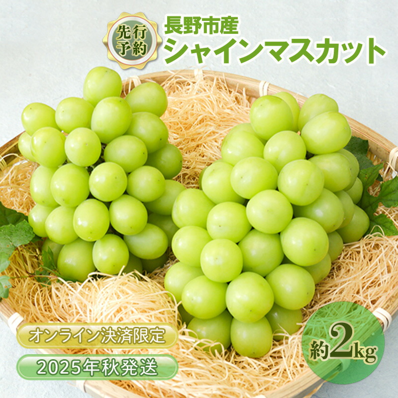 【ふるさと納税】ぶどう 先行予約 長野市産 シャインマスカット 2kg 2025年9月中旬より順次発送 葡萄 ブドウ フルーツ 果物 シャイン マスカット デザート おやつ 信州 オンライン決済限定　お届け：2025年9月中旬～10月中旬