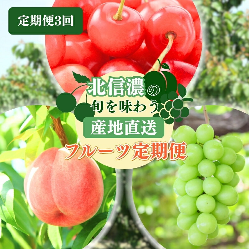 【ふるさと納税】フルーツ 先行予約 定期便 3ヶ月 長野 季節のフルーツ さくらんぼ チェリー 桃 シャインマスカット ぶどう シャイン マスカット 果物 長野県 長野市 2025年 7～9月 定期 お楽しみ 3回 長野県長野市 　お届け：2025年7月～9月