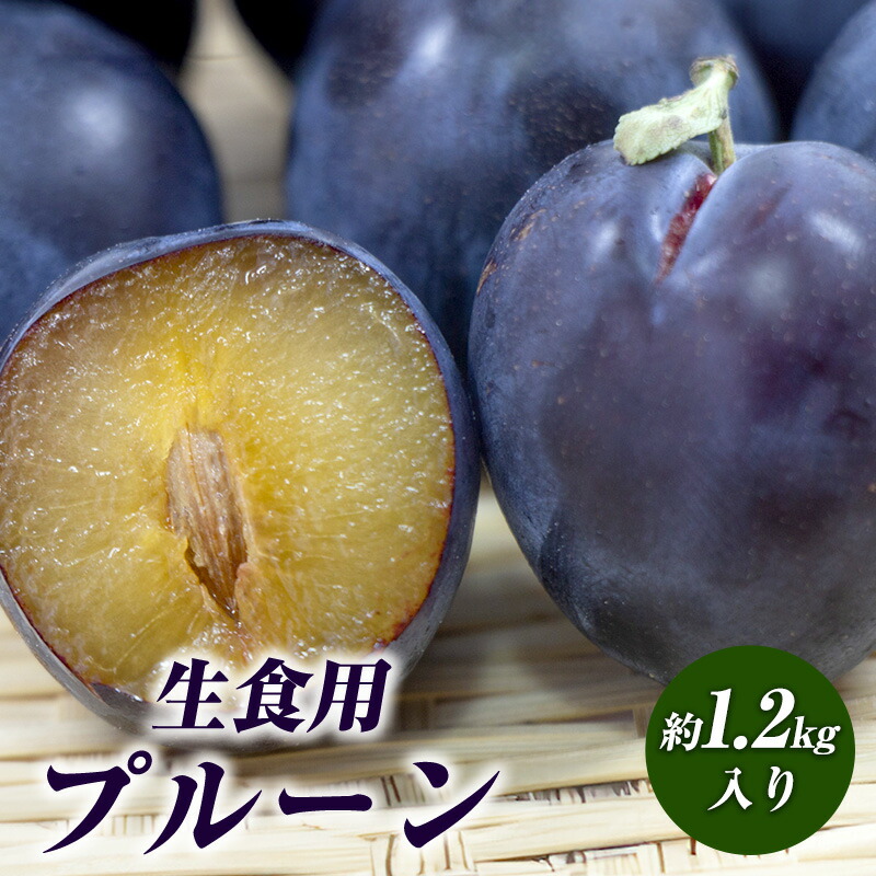 【ふるさと納税】【2025年分 先行予約】生食用プルーン約1.2kg入り 果物 フルーツ ビタミン ミネラル 食物繊維 ポリフェノール 生プルーン 　お届け：2025年8月中旬～9月下旬