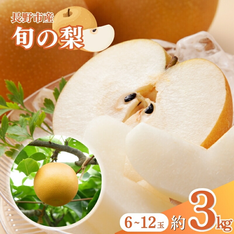 【ふるさと納税】先行予約  農家おすすめ「梨」（幸水または豊水）約3kg（6玉～12玉） 2025年発送 果物 フルーツ デザート 食後 秋の味覚 旬の果物 果汁たっぷり ジューシー 　お届け：2025年9月上旬～10月上旬