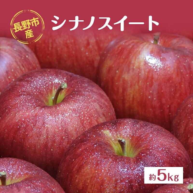 【ふるさと納税】長野市産「シナノスイート」約5kg 　お届け：2025年10月中旬～11月中旬