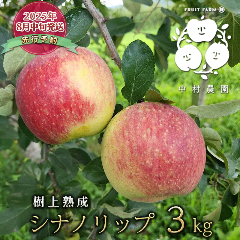 【ふるさと納税】先行予約 りんご 3kg 樹上熟成 シナノリップ 林檎 リンゴ 果物 くだもの フルーツ 旬の果物 旬のフルーツ 季節の果物 季節のフルーツ 美味しい果物 長野県産 長野県産りんご 信州 長野 長野県 長野市　お届け：2025年8月中旬～9月上旬