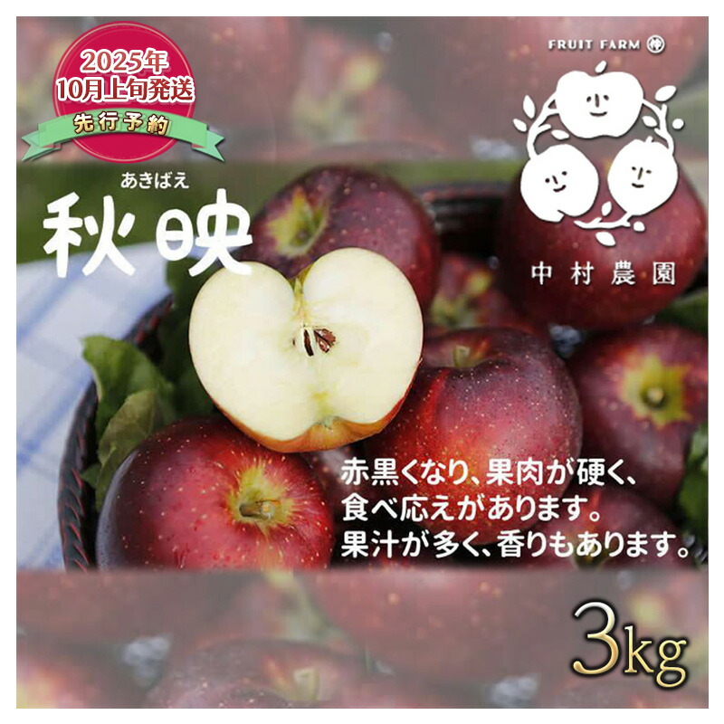 【ふるさと納税】先行予約 りんご 3kg 樹上熟成 秋映 林檎 リンゴ 果物 くだもの フルーツ 旬の果物 旬のフルーツ 季節の果物 季節のフルーツ 美味しい果物 長野県産 長野県産りんご 信州 長野 長野県 長野市　お届け：2025年10月上旬～11月中旬