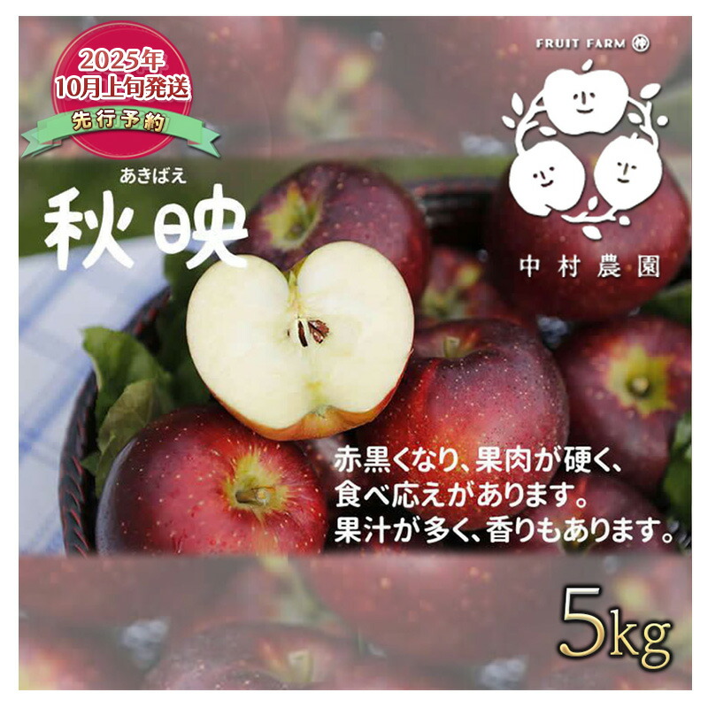 【ふるさと納税】先行予約 りんご 5kg 樹上熟成 秋映 林檎 リンゴ 果物 くだもの フルーツ 旬の果物 旬のフルーツ 季節の果物 季節のフルーツ 美味しい果物 長野県産 長野県産りんご 信州 長野 長野県 長野市　お届け：2025年10月上旬～11月中旬