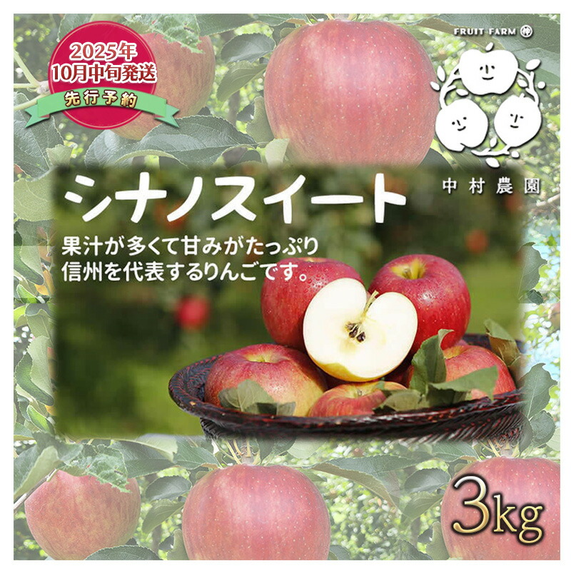 【ふるさと納税】先行予約 りんご 3kg 樹上熟成 シナノスイート 林檎 リンゴ 果物 くだもの フルーツ 旬の果物 旬のフルーツ 季節の果物 季節のフルーツ 美味しい果物 長野県産 長野県産りんご 信州 長野 長野県 長野市　お届け：2025年10月中旬～11月中旬