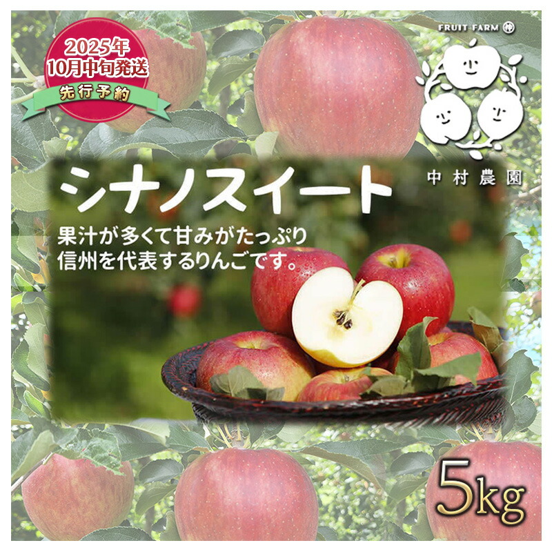 【ふるさと納税】先行予約 りんご 5kg 樹上熟成 シナノスイート 林檎 リンゴ 果物 くだもの フルーツ 旬の果物 旬のフルーツ 季節の果物 季節のフルーツ 美味しい果物 長野県産 長野県産りんご 信州 長野 長野県 長野市　お届け：2025年10月中旬～11月中旬