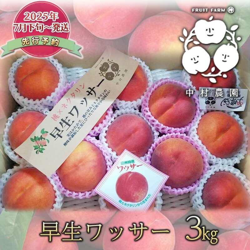 【ふるさと納税】先行予約 早生 ワッサー 3kg 桃 ネクタリン 黄桃 硬い桃 果物 くだもの フルーツ 旬の果物 旬のフルーツ 季節の果物 季節のフルーツ 美味しい果物 長野県産 信州 長野 長野県 長野市　お届け：2025年7月下旬～8月中旬