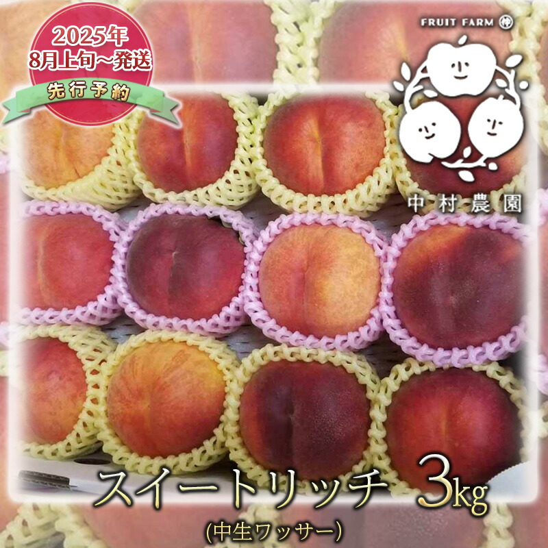 【ふるさと納税】先行予約 スイートリッチ 3kg 中生 ワッサー 桃 ネクタリン 黄桃 硬い桃 果物 くだもの フルーツ 旬の果物 旬のフルーツ 季節の果物 季節のフルーツ 美味しい果物 長野県産 信州 長野 長野県 長野市　お届け：2025年8月上旬～8月下旬