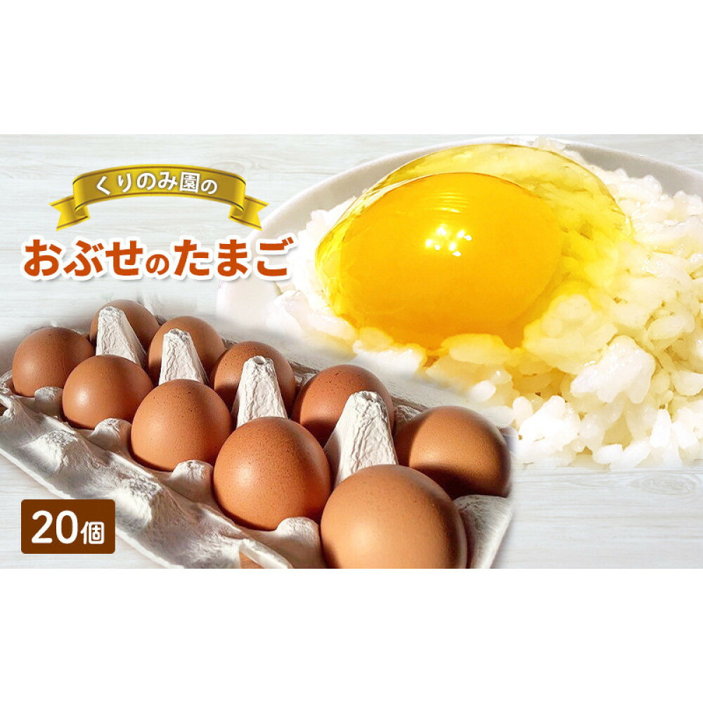 【ふるさと納税】おぶせのたまご 20個 | はん TKG 玉子焼き オムレツ 目玉焼き