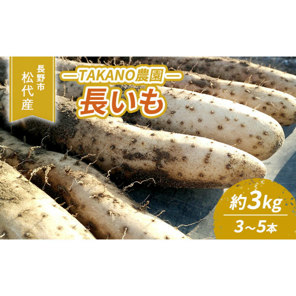 【ふるさと納税】長野市松代産 TAKANO農園　長いも 約3kg(訳あり)【3～5本】 野菜 根菜 長野県産 ネバネバ シャキシャキ とろろご飯 具材 食材 国産 | 野菜 根菜 長野県産 ネバネバ シャキシャキ とろろご飯 具材 食材 国産