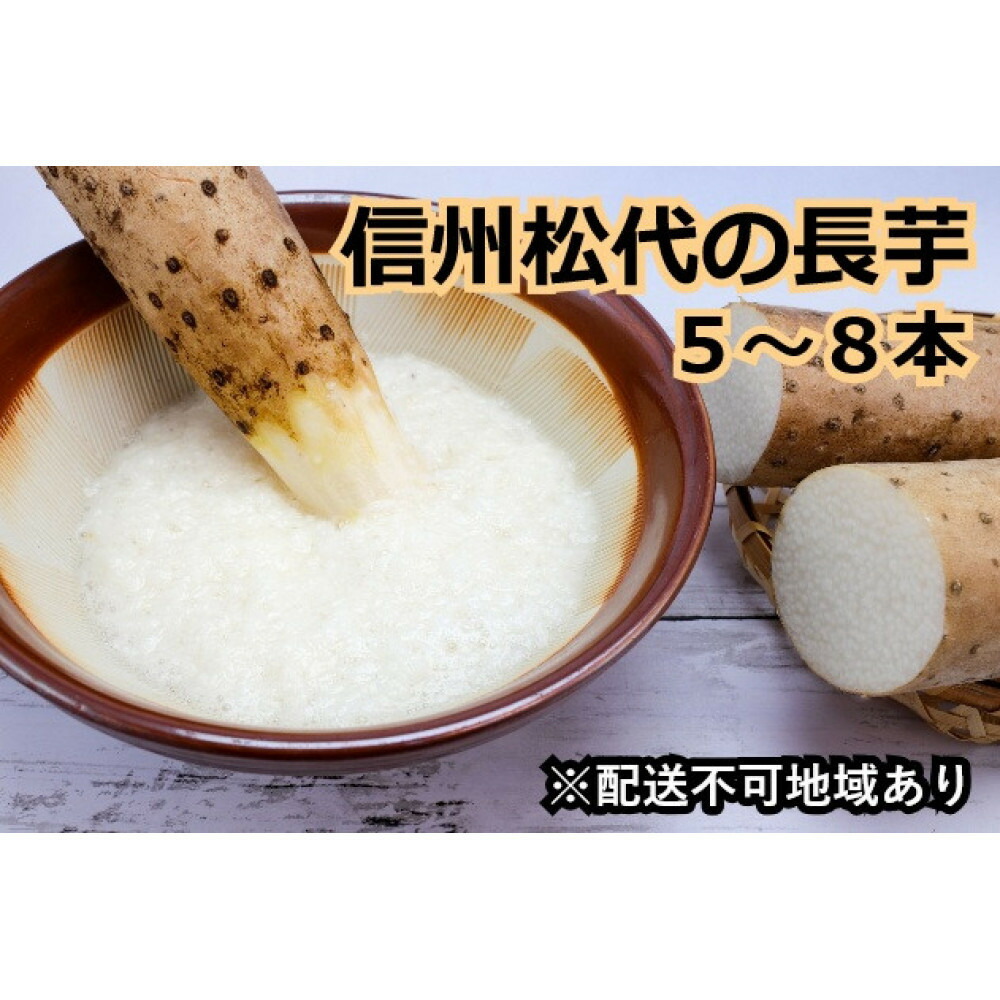 【ふるさと納税】信州の長芋【調理しやすい食べきりサイズ】5～8本入り