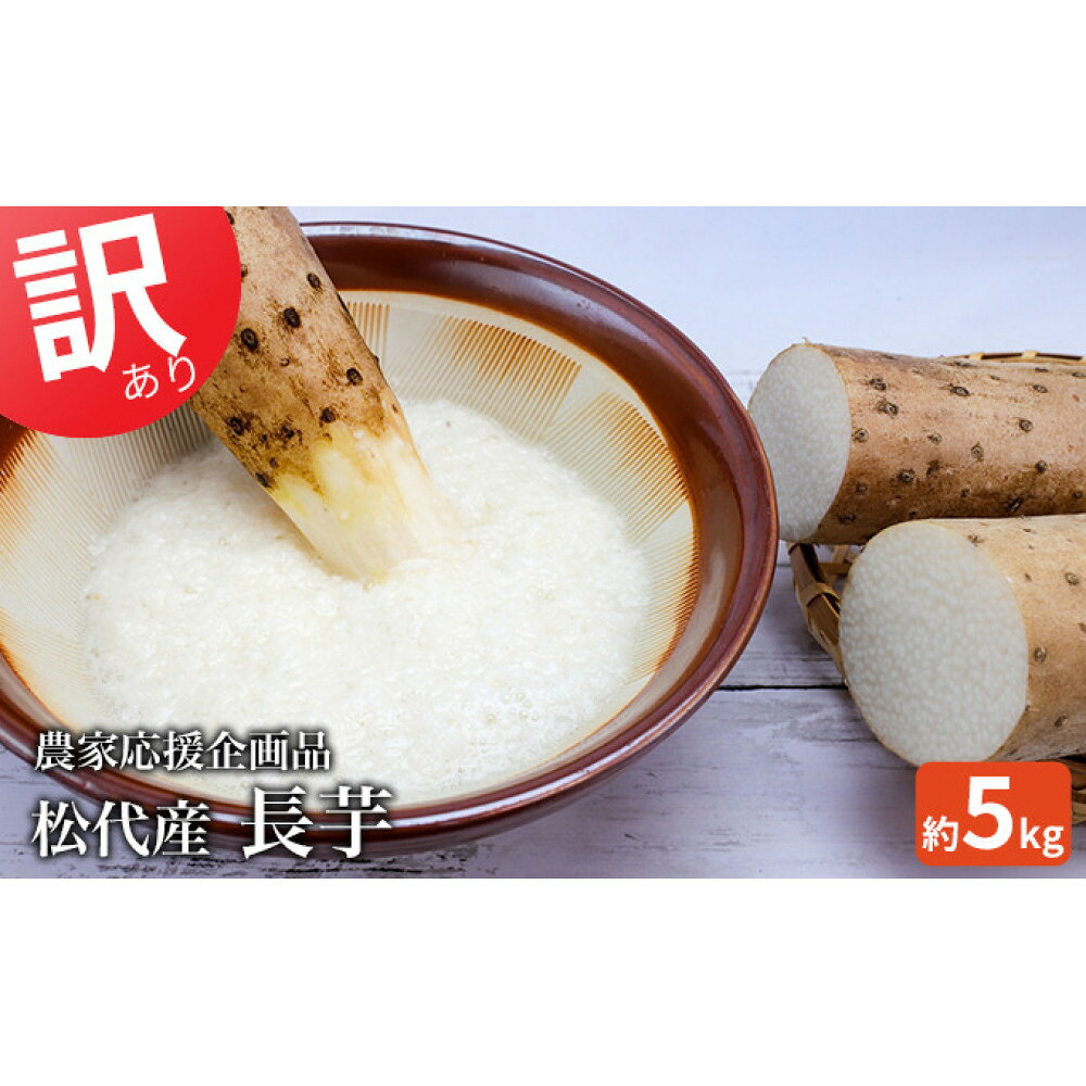 【ふるさと納税】松代産長芋約5kg【地域の生産者応援の品(訳あり品)】