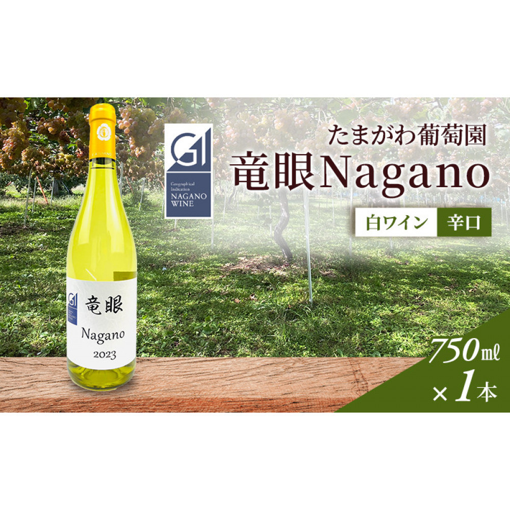 【ふるさと納税】ワイン　竜眼Nagano　【GI長野】認定　750ｍｌ×1本 | 長野市 白ワイン