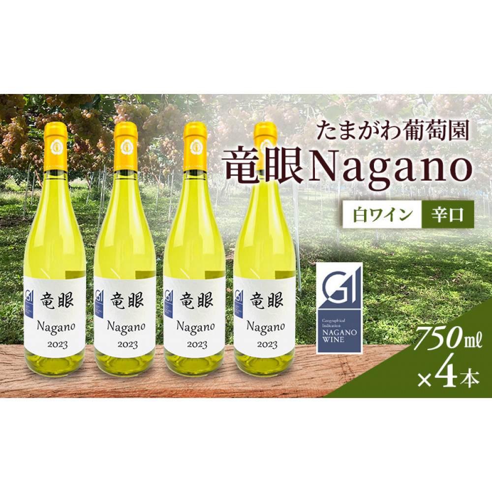 【ふるさと納税】ワイン　竜眼Nagano　【GI長野】認定　750ｍｌ×4本 | 長野市 白ワイン
