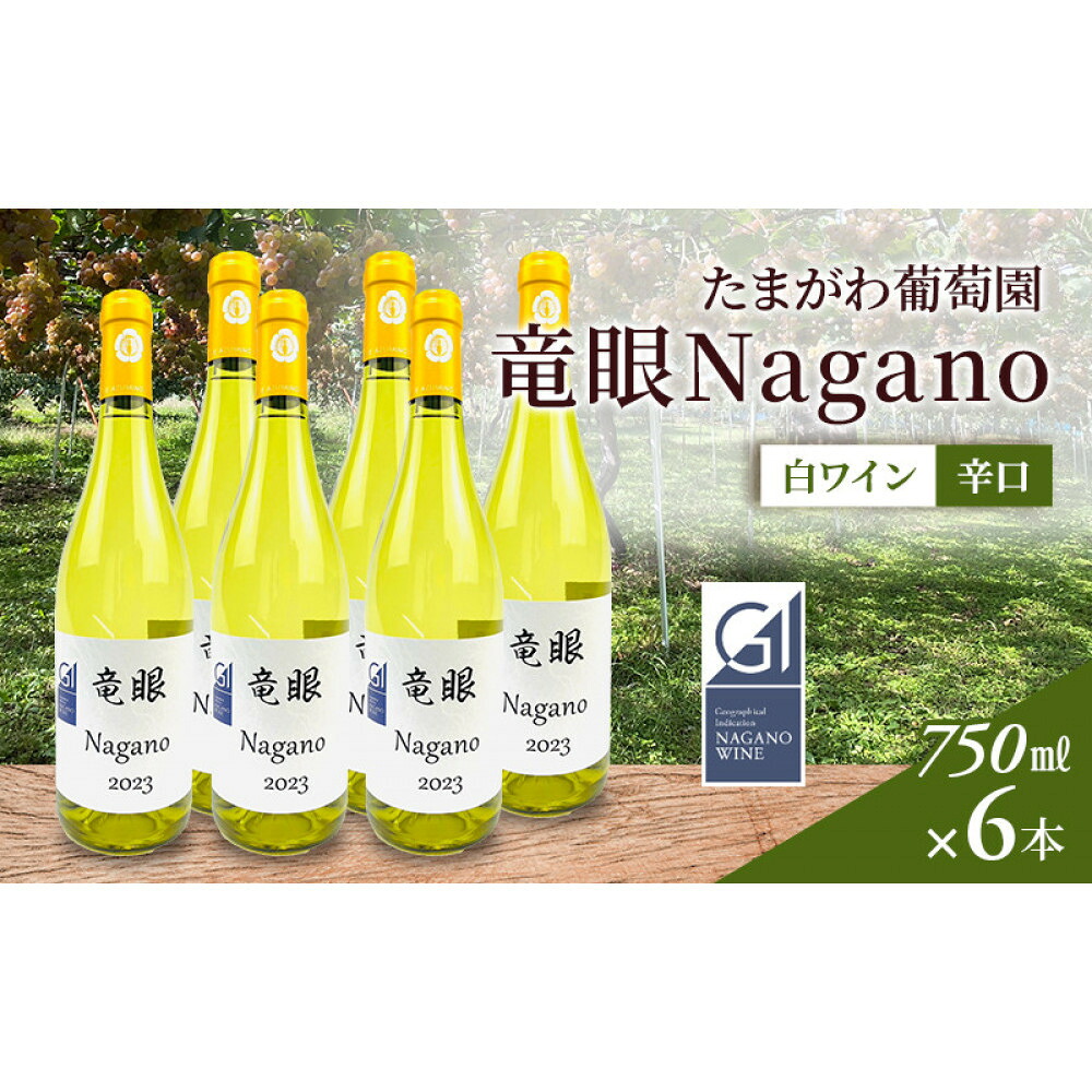 【ふるさと納税】ワイン　竜眼Nagano　【GI長野】認定　750ｍｌ&times;6本 | ワイン 竜眼 長野市産 人気 おすすめ 白ワイン 辛口 フルーティー すっきり ワイナリー 葡萄 ギフト プレゼント 家飲み 飲み比べ 送料無料 長野県 長野市 信州 信濃 ふるさと納税｜長野県長野市