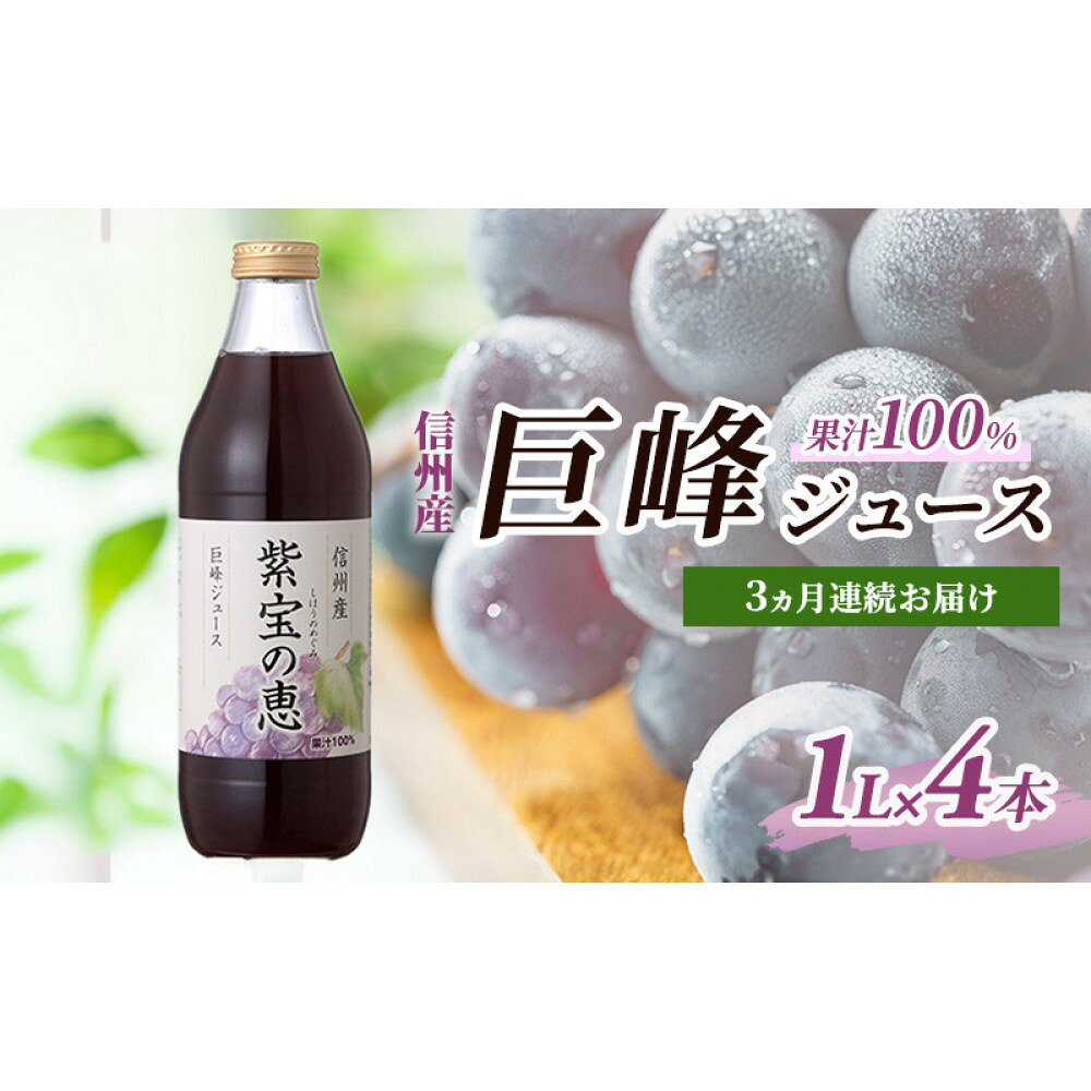 【ふるさと納税】【定期便】3ヵ月連続お届け 信州産 巨峰ジュース 果汁100％　「紫宝の恵」 (1L×4本)