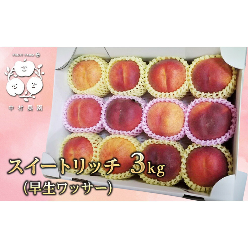 【ふるさと納税】フルーツファーム中村農園【7月下旬～8月中旬発送】スイートリッチ 3kg(中生ワッサー） | ワッサー スイートリッチ 早生 桃 希少品種 ネクタリン プラム 人気 おすすめ 果物 フルーツ 旬 贈答用 ギフト 送料無料 長野県 長野市 信州 信濃 ふるさと納税｜長野県長野市