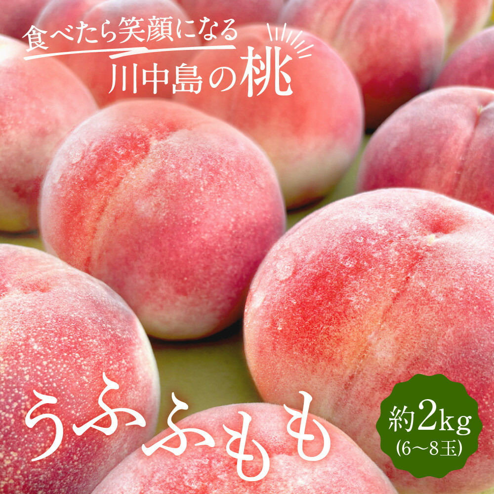 【ふるさと納税】すーさんの果樹屋　【先行予約】川中島の桃 約2kg 品種おまかせ 8月中旬～8月下旬発送予定 | もも 桃 フルーツ 果実 産地直送 人気 おすすめ ギフト プレゼント 送料無料 長野県 長野市 信州 信濃 ふるさと納税｜長野県長野市 11,680円