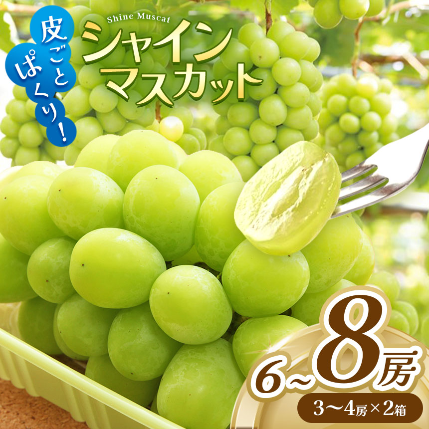 【ふるさと納税】シャインマスカット 3～4房×2箱【先行受付】9月下旬から発送予定 │信州松本 果物 ぶどう シャインマスカット マスカット フルーツ ブドウ 長野県 松本市 先行受付 ふるさと納税