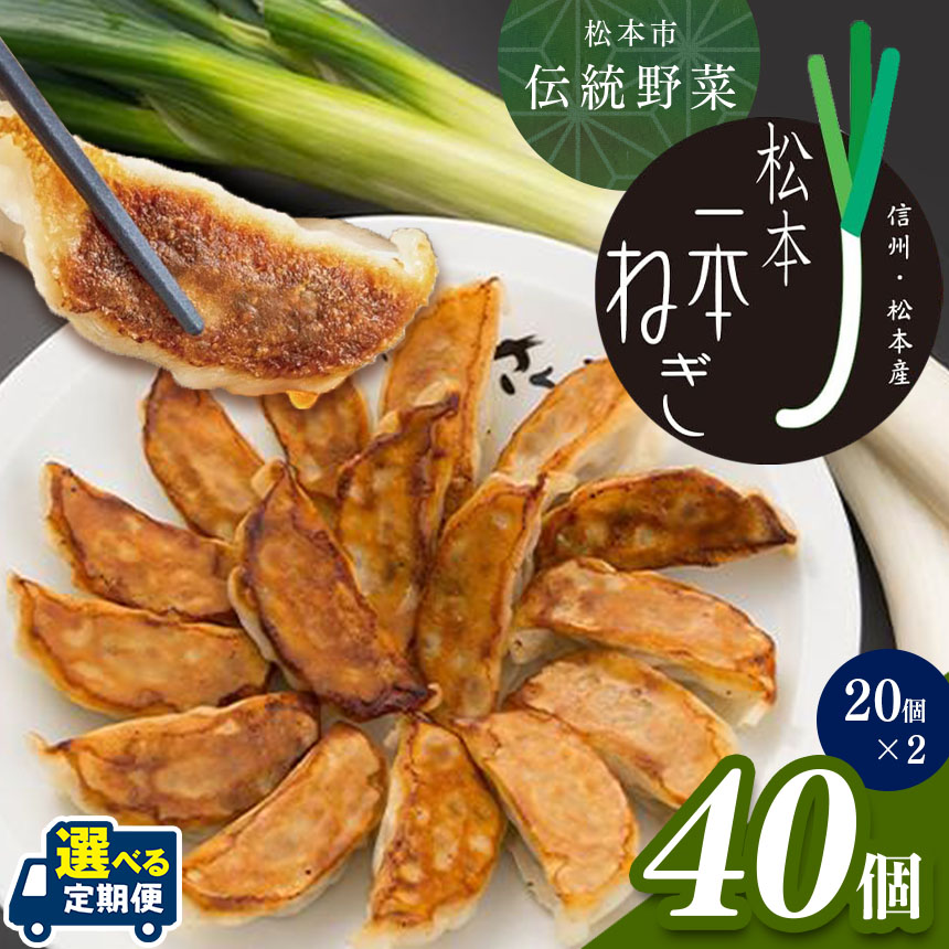 【ふるさと納税】 【定期便も選べる】伝統野菜松本一本ねぎ使用 松本一本ねぎ餃子|餃子 ギョーザ 低糖質 マッスルギョーザ マッスル餃子 ダイエット 健康志向 長野県 松本市|長野県松本市