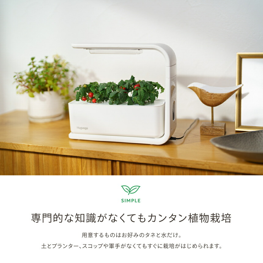 231MYNH-AC23 SRL NEIGHBORHOOD 水耕栽培 231MYNH-AC23 SRL NEIGHBORHOOD 水耕栽培 NEIGHBORHOOD SRL