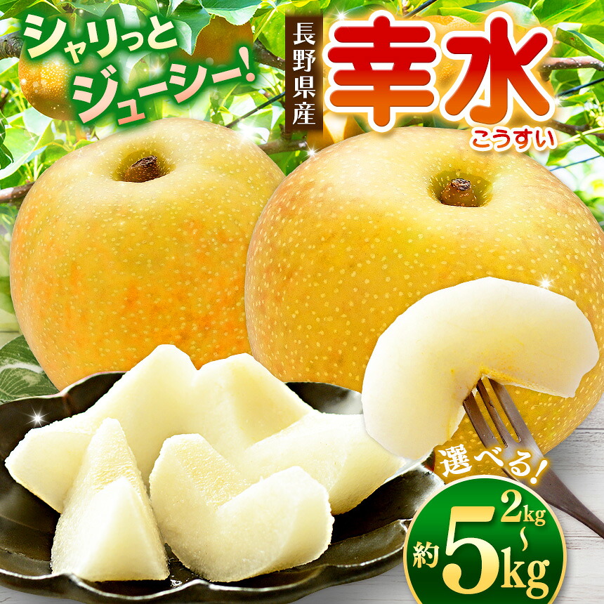 【ふるさと納税】【先行受付】【選べる】幸水2kg or 3kg or 5kg 高原の「幸水」は硬さ、シャリ感、ジューシー、甘さが違う。海藻エキス投与で、コクと旨味のある梨にグレードアップ！｜ふるさと納税 梨 なし 幸水 フルーツ 甘い ジューシー 果物 信州産 長野県 松本市
