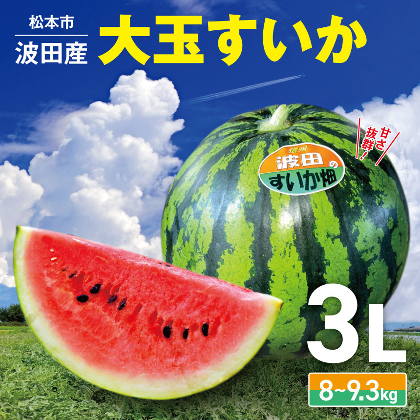【ふるさと納税】【先行予約】 松本市 波田産 大玉すいか（サイズ3L）│ 信州 松本市  長野県 西瓜 すいか 果物 大玉 スイカ フルーツ くだもの フルーツ ふるーつ 大玉スイカ