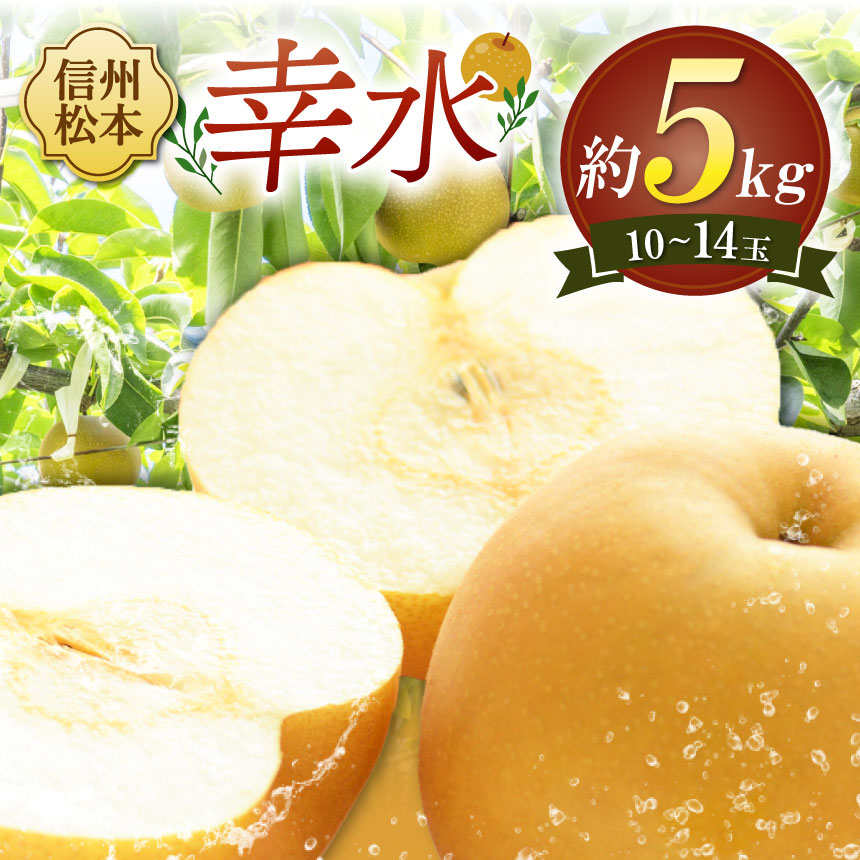 【ふるさと納税】【先行受付：8月発送】幸水 10～14玉（約5kg）｜ふるさと納税 長野県 松本市 幸水 梨 甘い ジューシー フルーツ 大人気 10,780円
