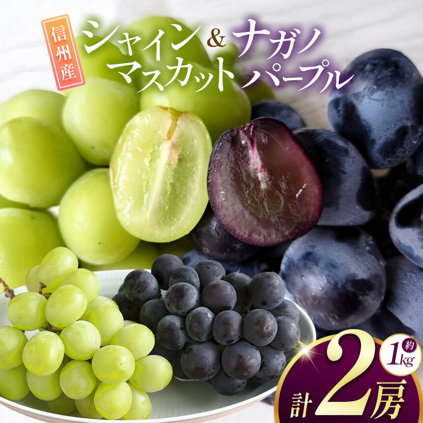 【ふるさと納税】【先行受付】信州産 ナガノパープル、シャインマスカットのセット 約1kg (2房)｜ふるさと納税 松本市 ぶどう 葡萄 シャインマスカット ナガノパープル 果物 フルーツ 種無し 新鮮 セット 食べ比べ 信州産 先行予約