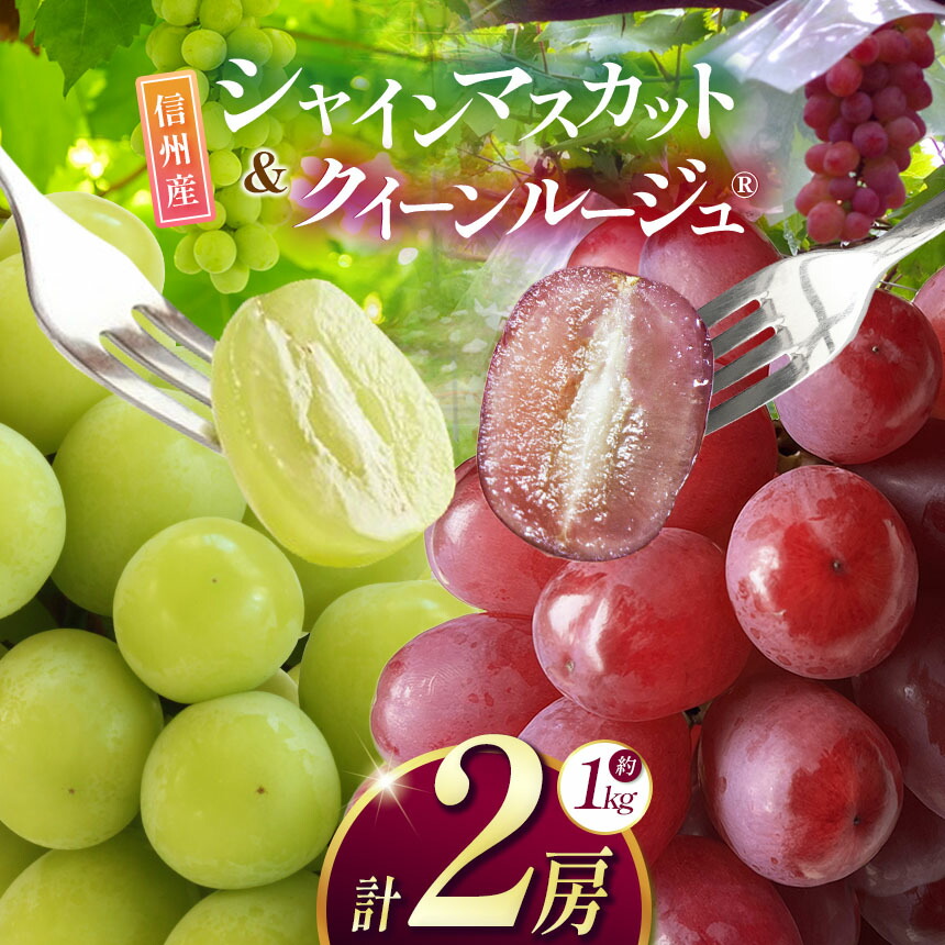 【ふるさと納税】【先行受付】信州産 クイーンルージュ、シャインマスカットのセット 約1kg (2房)｜ふるさと納税 松本市 ぶどう 葡萄 シャインマスカット クイーンルージュ 果物 フルーツ 種無し 新鮮 セット 食べ比べ 信州産 先行予約