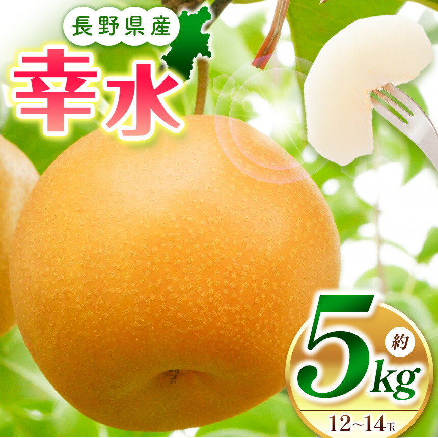 【ふるさと納税】【先行受付】幸水5kg（12～14玉）｜ふるさと納税 松本市 なし 梨 幸水 果物 果汁 農家 自然 ビタミン 地元 新鮮 ジューシー
