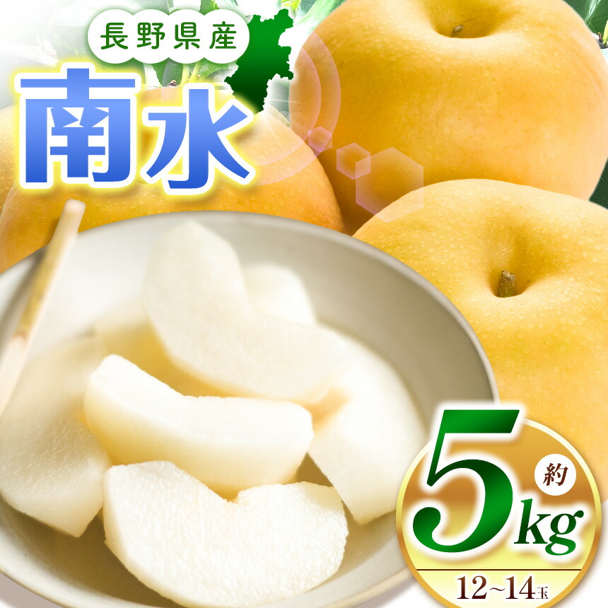【ふるさと納税】【先行受付】南水5kg（12～14玉）｜ふるさと納税 松本市 なし 梨 南水 果物 果汁 農家 甘い シャリ感 自然 ビタミン 地元 新鮮 ジューシー
