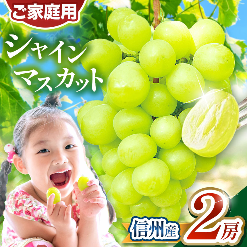 【ふるさと納税】 【先行受付：9月発送】シャインマスカット 2房（約1kg）｜ ふるさと納税 長野県 松本市 信州産 ぶどう フルーツ 大人気 葡萄 種なし 皮ごと食べれる 産地直送 フルーツ 果実 果物