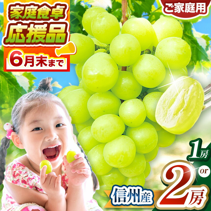 【ふるさと納税】【先行受付】【選べる】信州産 シャインマスカット １房～2房（約500g～約1kg）｜ふるさと納税 長野県 松本市 信州産 シャインマスカット ぶどう フルーツ 大人気 葡萄 種なし 皮ごと食べれる