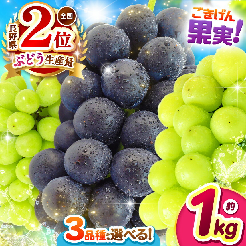 楽天市場】【ふるさと納税】山形市産 ぶどう(ピオーネ) 秀 2kg(3?7房