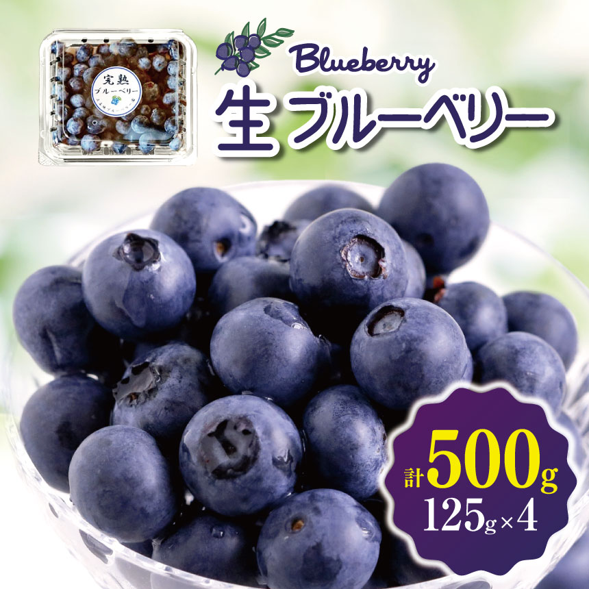 【ふるさと納税】生ブルーベリー　500g│信州 贈答用 ブルーベリー 新鮮 加工品 甘い 美味しい 特別 松本 ふるさと納税 上高地