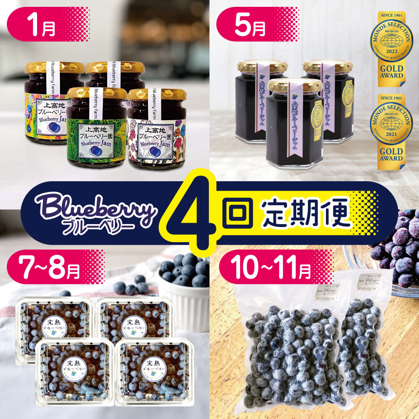 【ふるさと納税】ブルーベリー定期便【4回】（月ごとにお届けいたします！）│信州 ブルーベリー ふるさと納税 上高地 松本市 長野県 定期便